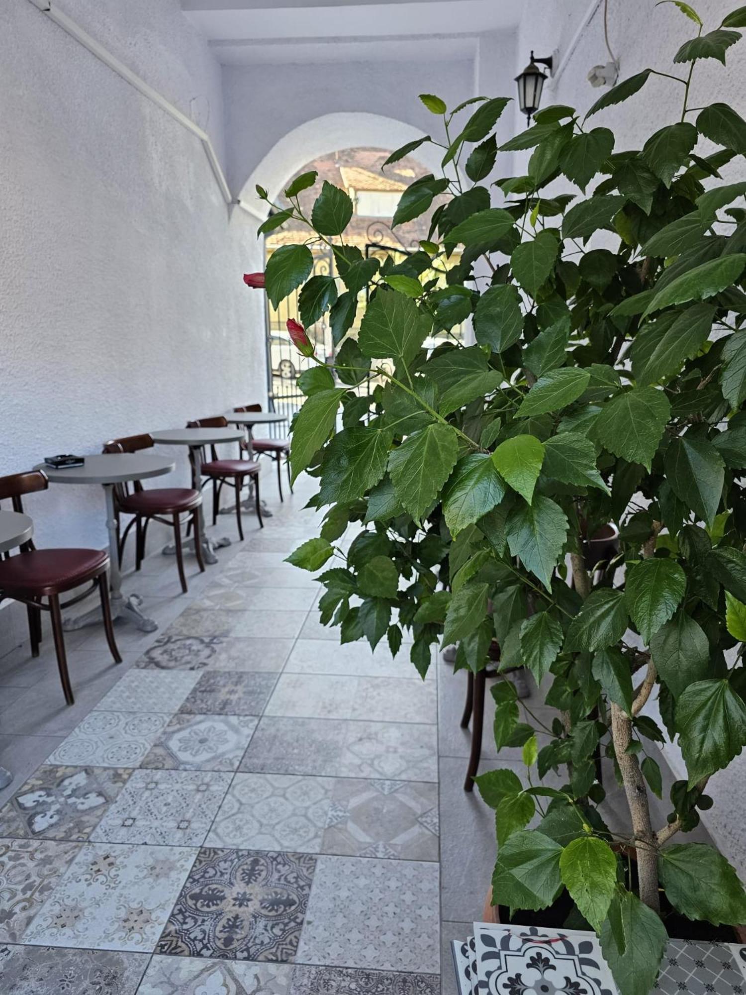 Hotel Apollonia براشوف المظهر الخارجي الصورة