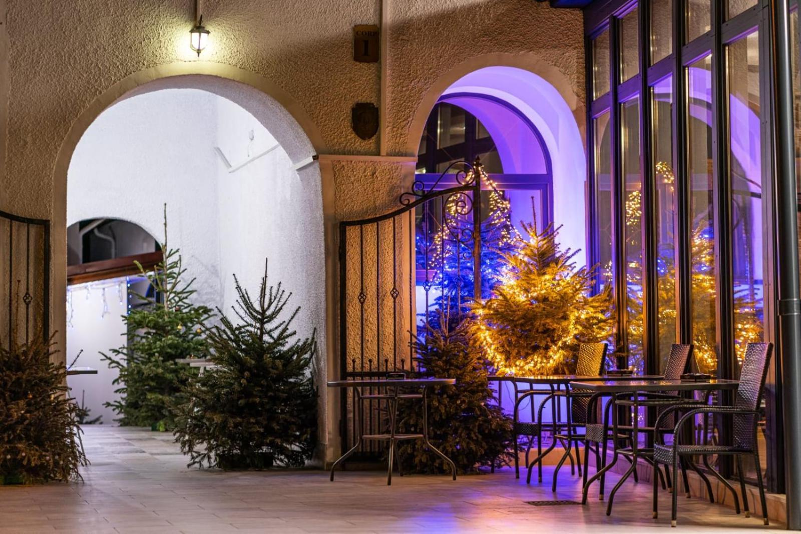 Hotel Apollonia براشوف المظهر الخارجي الصورة