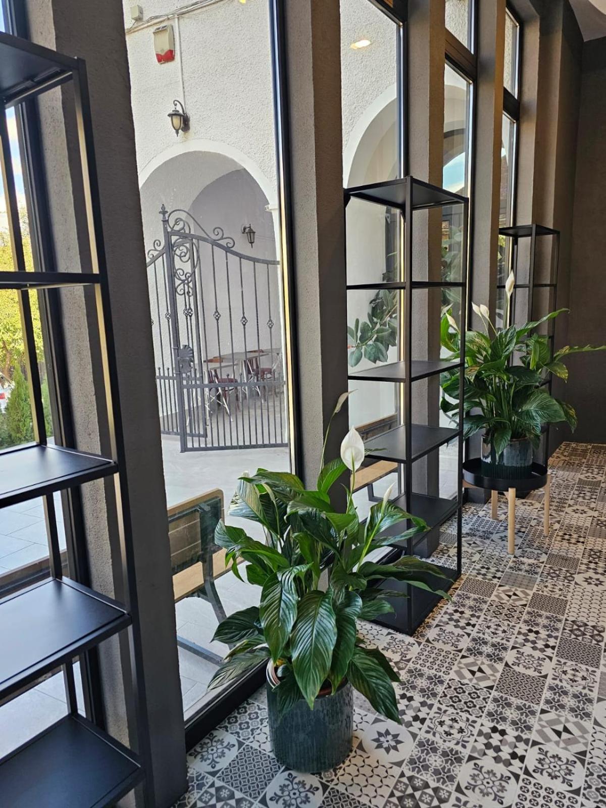 Hotel Apollonia براشوف المظهر الخارجي الصورة